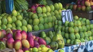 Macky Sall calls on Africans to learn to feed themselves