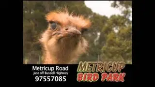 METRICUP BIRD PARK   TVC