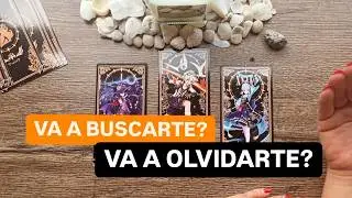💛QUÉ PIENSA AL DÍA DE HOY ¿ME BUSCARÁ Ó ME OLVIDARÁ? TAROT INTERACTIVO TAROTCOACH CANALIZACIÓN