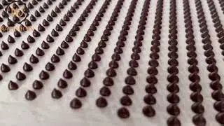 Chocolate Drops & Chips Depositor