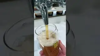 Perfect Pour 🍻   #shorts
