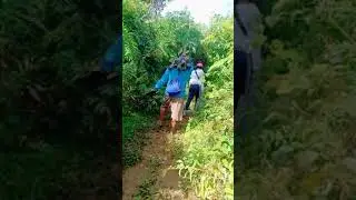 Tree Planting:Episode 1- MudChallenge
