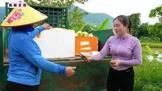 承包半亩玉米田采摘新鲜玉米，架上几口大锅在集市边煮边卖 #我的乡野山居生活 #三农 #乡村生活 #田园生活