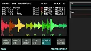 sample slicing#2