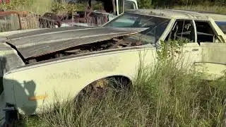 Classic Yard Crawl! Olds Omega, Chevy, Dodge, & Ford Trucks, 67 Mustang & a Thames Freighter Van?!?