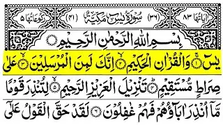 Surah Yasin [ Yaseen ] Recitation Quran With Urdu Beautiful Voice 