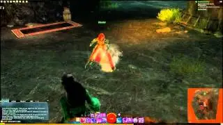 Guild Wars 2 Order Of Whispers Bug
