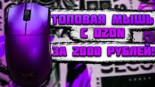 ТОПОВАЯ ИГРОВАЯ МЫШЬ С МАРКЕТПЛЕЙСА OZON ЗА 2000 РУБЛЕЙ НА PAW3395! ОБЗОР!