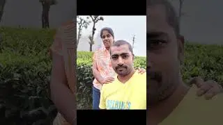Athirapally 2024 🌿 | Unplanned Trip to Kerala&rsquo;s Majestic Falls