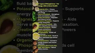 10 Best Types of Phosphorus