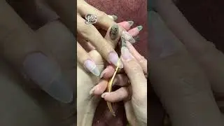Tập 82: L&agrave;m nail salone chi tiết từ A-Z c&ugrave;ng Linh B&ugrave;i