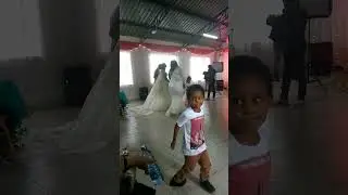 VID 20181111 163715
