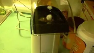 The Rival Air Popper Initial Pop.