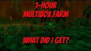 WOW Misty Grell Felcloth Multibox Farm