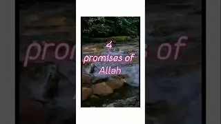 4 PROMISES OF ALLAH###Allah k waada apne bando se###quotes #motivation
