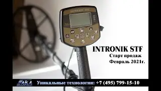 Интроник СТФ Intronik STF купить