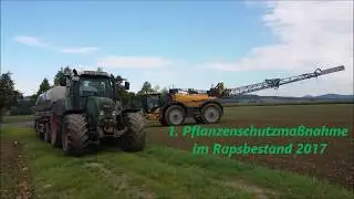 Challenger RoGator 645C im Raps und Fendt 2017