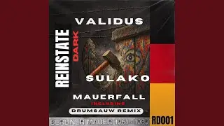 Mauerfall (Drumsauw Remix)