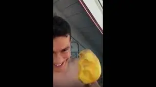 Mango on a Fork (Higher Quality)