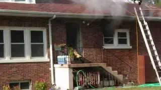 Lake Station Crews Rescue Multiple Dogss At A Kitchen