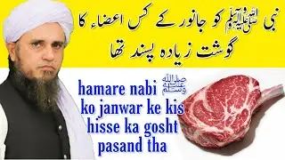 hamare nabi ﷺ ko janwar ke kis hisse ka gosht pasand tha | Mufti tariq masood | islamic Research |