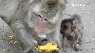 Abigail Mother Teach Adorable Heidi To Eat Mango | Heidi Group