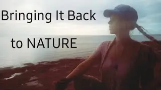 REMOTE BEACH SOOTHING OCEAN EXPLORE WITH MY DOG
