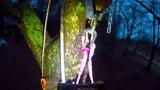 Setting a Practice ReBelay in the Tree - 2018