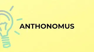 What is the meaning of the word ANTHONOMUS?