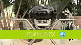 Gas-Grill Check