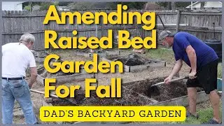 Amending Raised Garden Beds For Bountiful Harvest (Dad's Garden)