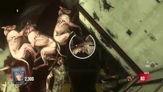 Exo Zombies Glitch PS4
