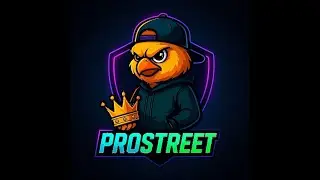 Racing Master - TEAM PRO