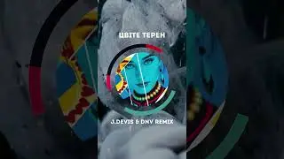 Цвіте терен (Trident Bass Remix) &mdash; J.Devis & DNV | Ukrainian EDM 2025