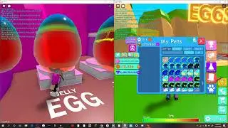 AFK HATCHING FOR OG DOGCAT AND SEA STAR IN BGS
