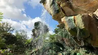 Disney's Animal Kingdom Pandora Music Loop