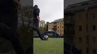 Best BASKETBALL Trick Shots 6 | trickshotdav #short #shorts