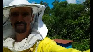 Народный улей Варрэ Наващивание стартеров