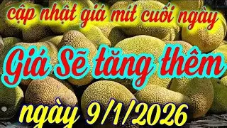 Jackfruit prices updated at the end of the day, January 9, 2026.