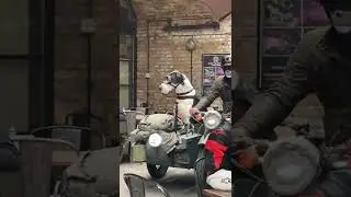 Cool Dog Rides in Vintage Motorcycle Sidecar || ViralHog
