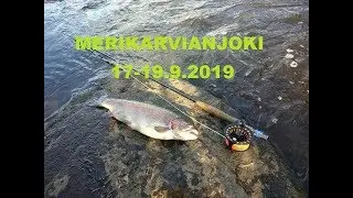 Merikarvianjoki 17-19.9.2019 | perhokalastus 2019 | kalastus 2019
