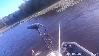 Pond Prowler 8 with Autoboat Smart Head
