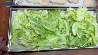 Freeze-drying different types of materials is also perfectly fine.