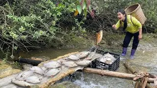 Surprisingly… The girl caught a lot of fish in just a small stream.