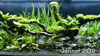 Asien Becken 400 Liter