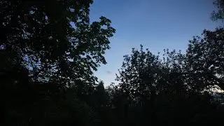 Golden Hour to Dusk | Spring Timelapse under Apple Tree and Horse Chestnut Tree