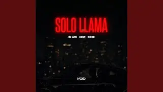 Solo Llama