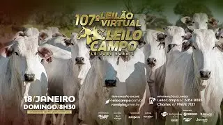107° LEILÃO VIRTUAL LEILOCAMPO - RIO NEGRO/MS - RURAL PLAY