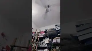 hunter ceiling fans #sound #hunter #fan #viral #shorts #trading