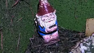 Worm Wizard Wisdom Journal Journey 05/01/2025